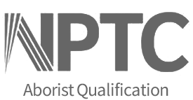 NPTC aborist qualification-grey